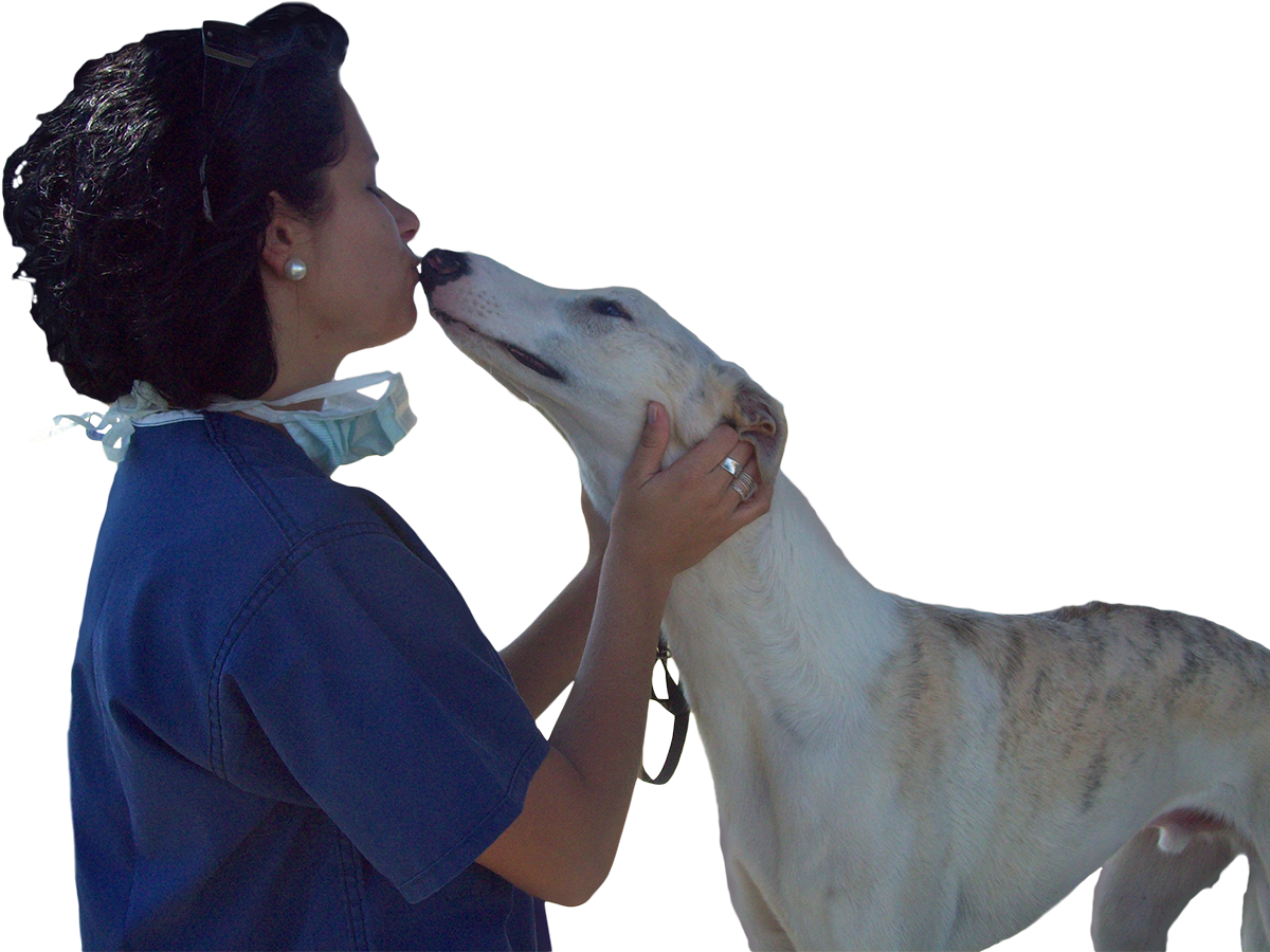 Kris kissing Greyhound in Galgo